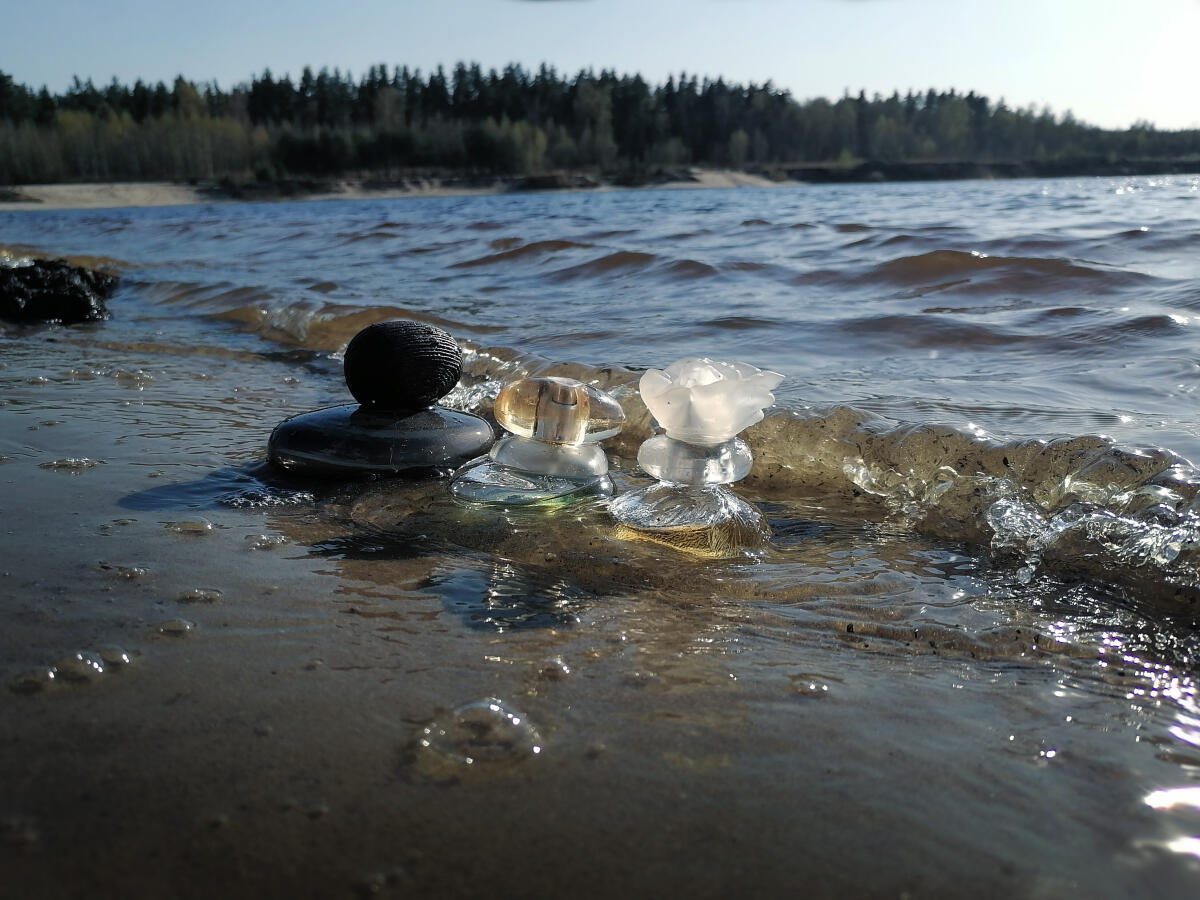 عطر ادکلن اِلوِی اوریفلیم - Elvie Oriflame - بررسی، قیمت و خرید