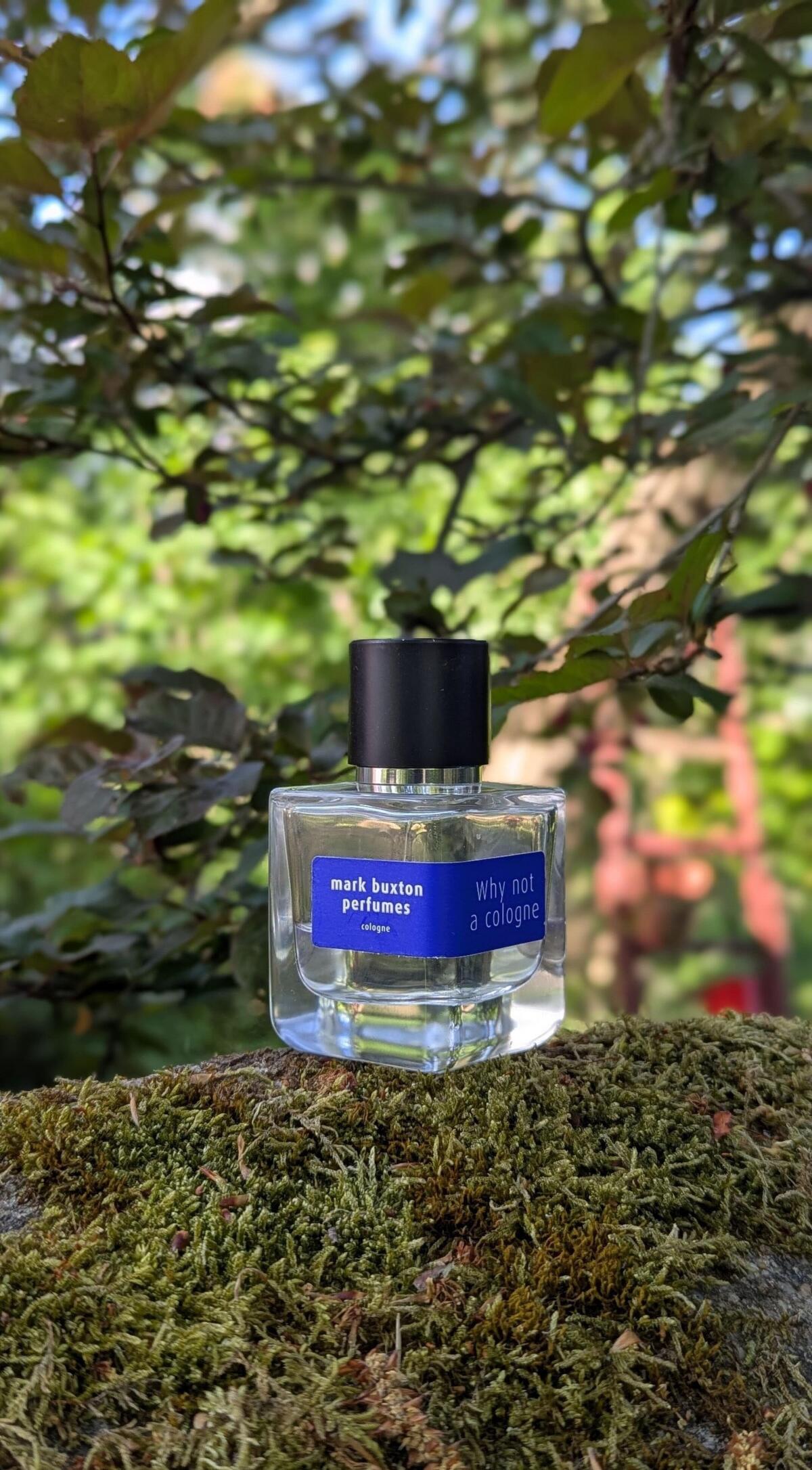 عطر ادکلن وای نات ا کلون مارک باکستون - Why Not A Cologne Mark Buxton - بررسی، قیمت و خرید