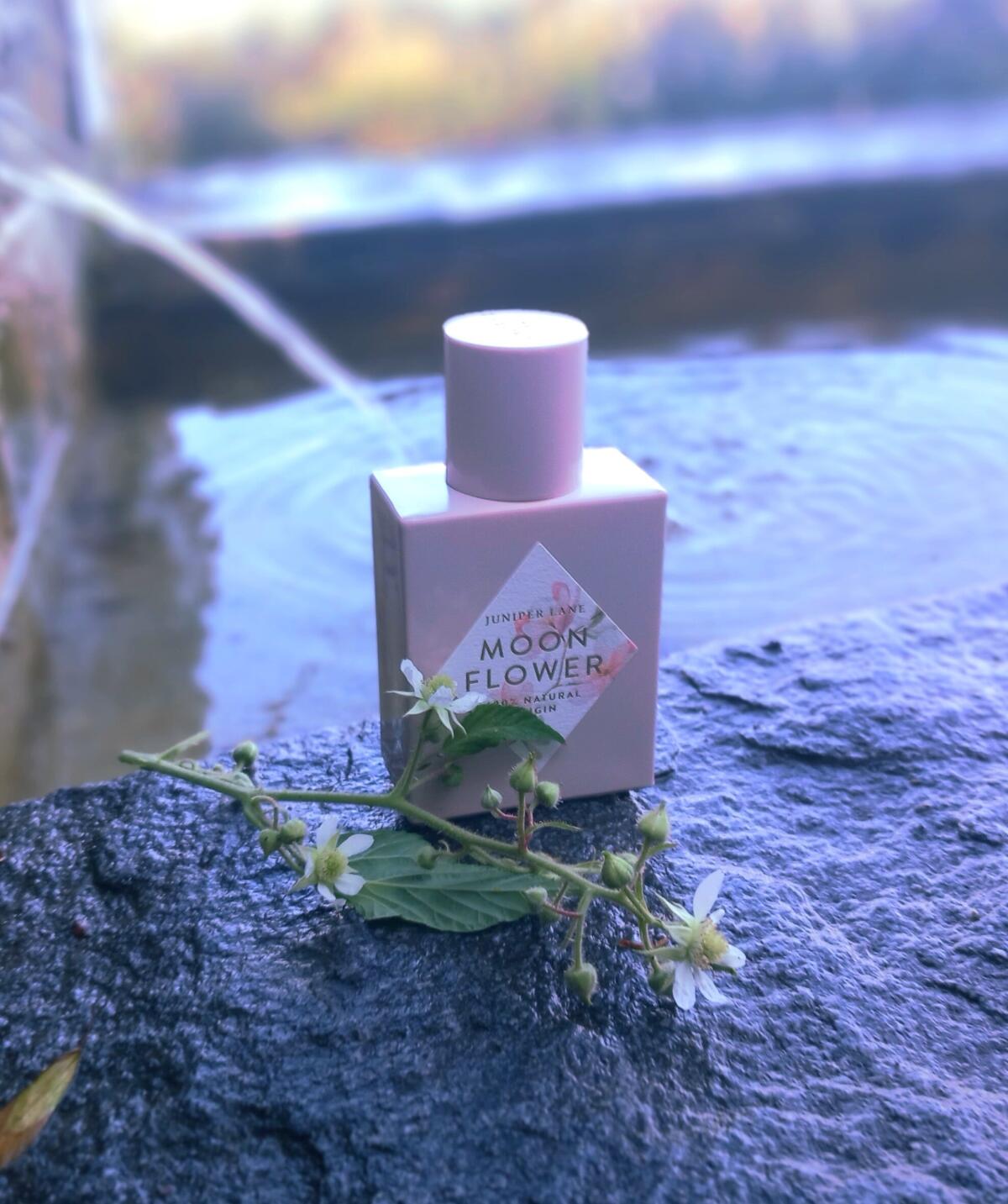 عطر ادکلن مون فلاور نیچر بلوسم - Moon Flower Nature Blossom - بررسی، قیمت و خرید