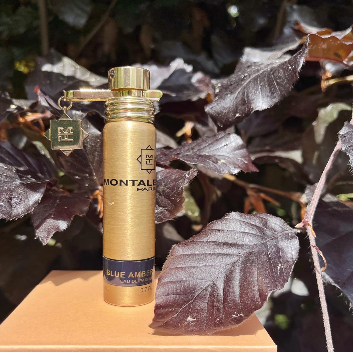 عطر ادکلن بلو امبر مونتال - Blue Amber Montale - بررسی، قیمت و خرید