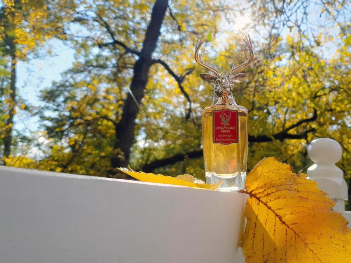 عطر ادکلن کروپ او شل پانادورا - Kropp Och Själ Pana Dora - بررسی، قیمت و خرید