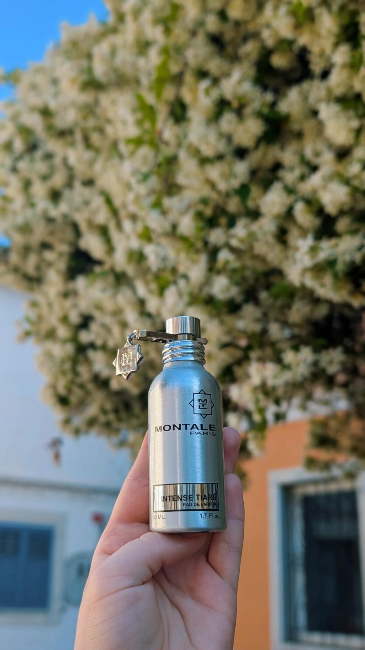 عطر ادکلن ایننس تیار مونتال - Intense Tiare Montale - بررسی، قیمت و خرید