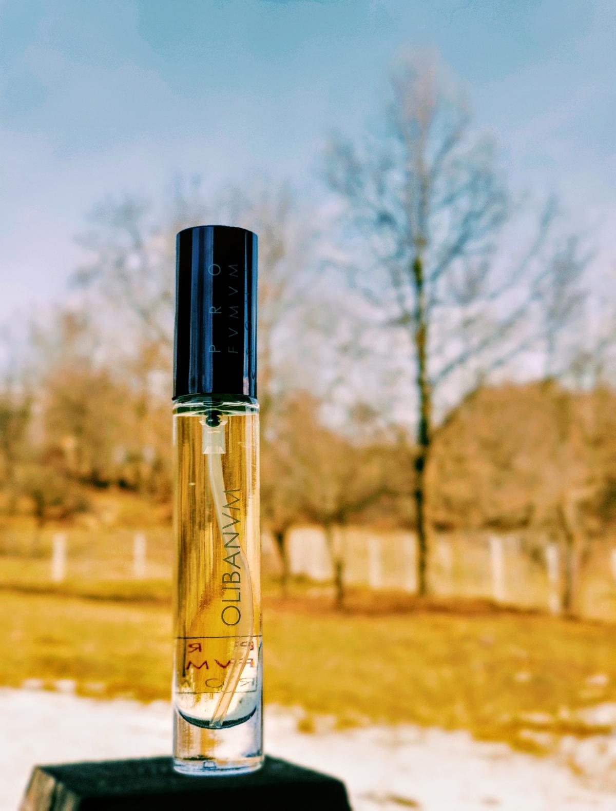 عطر ادکلن اولیبانوم پرفیوموم روما - Olibanum Profumum Roma - بررسی، قیمت و خرید