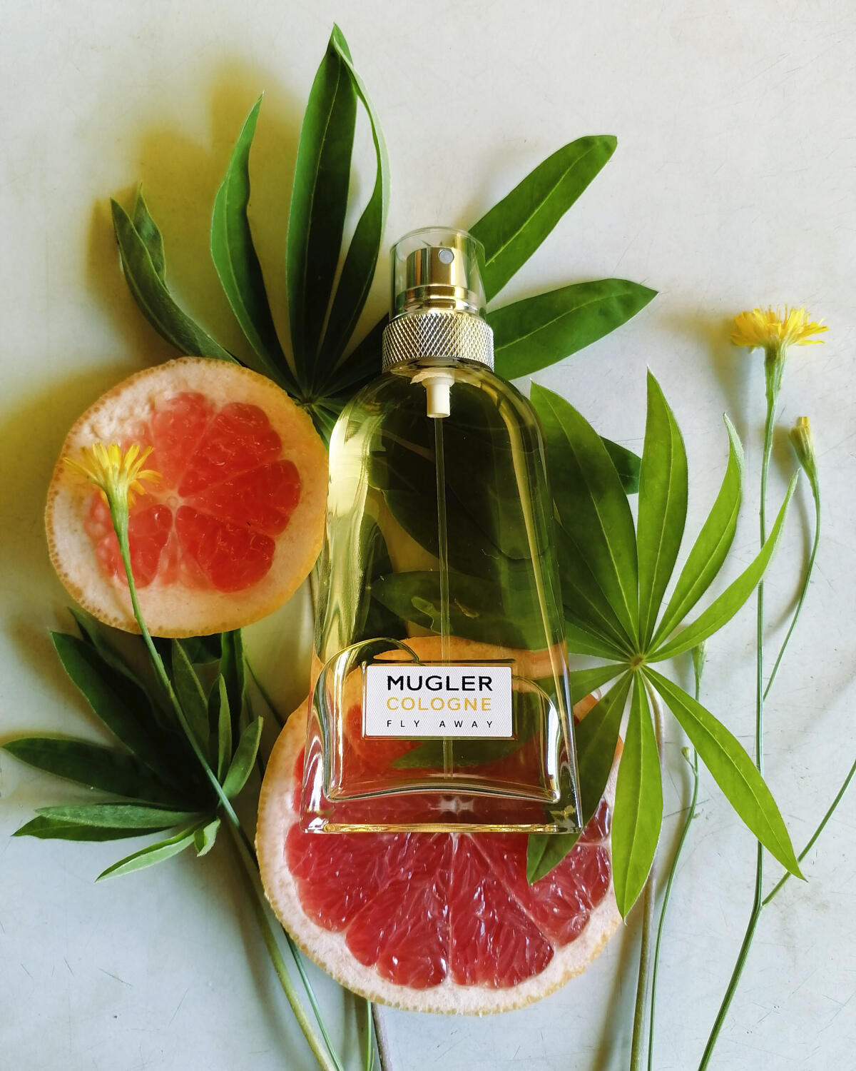 عطر ادکلن ماگلر کلن فلای اوی ماگلر - Mugler Cologne Fly Away Mugler - بررسی، قیمت و خرید