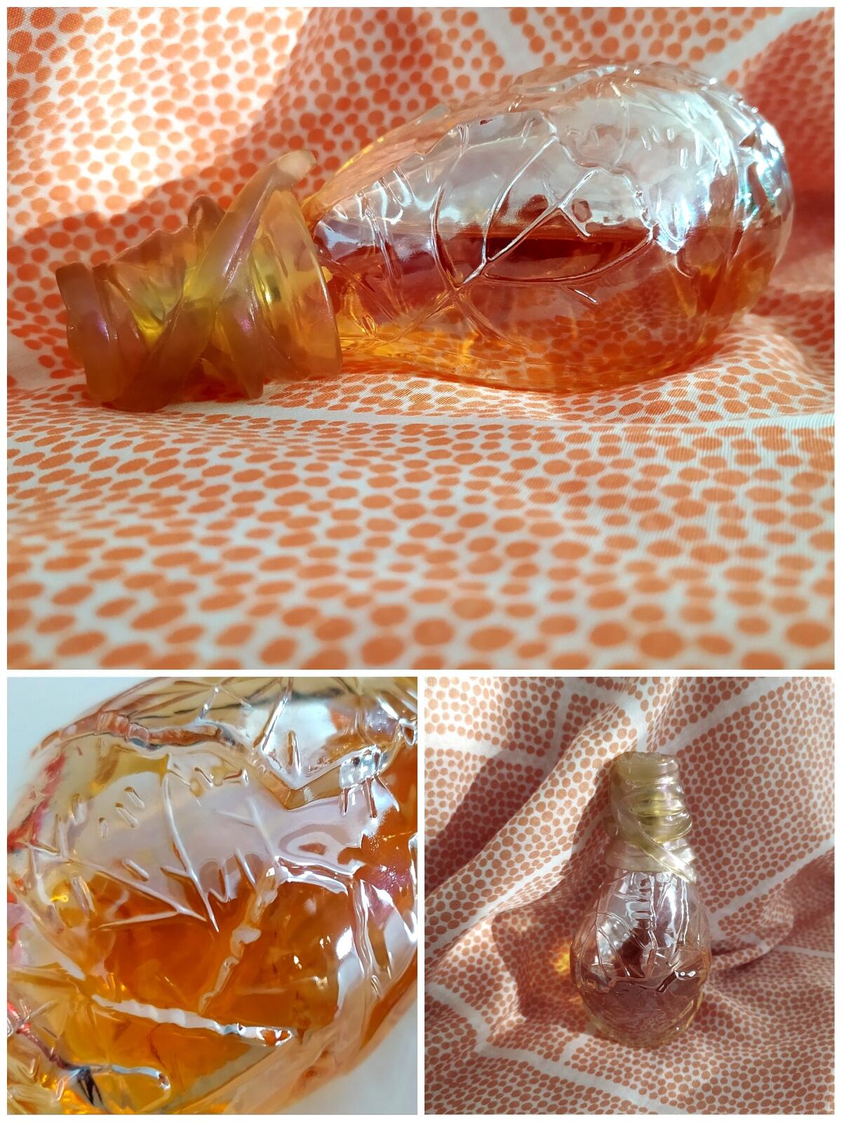 عطر ادکلن کاشایا کنزو - Kashaya Kenzo - بررسی، قیمت و خرید