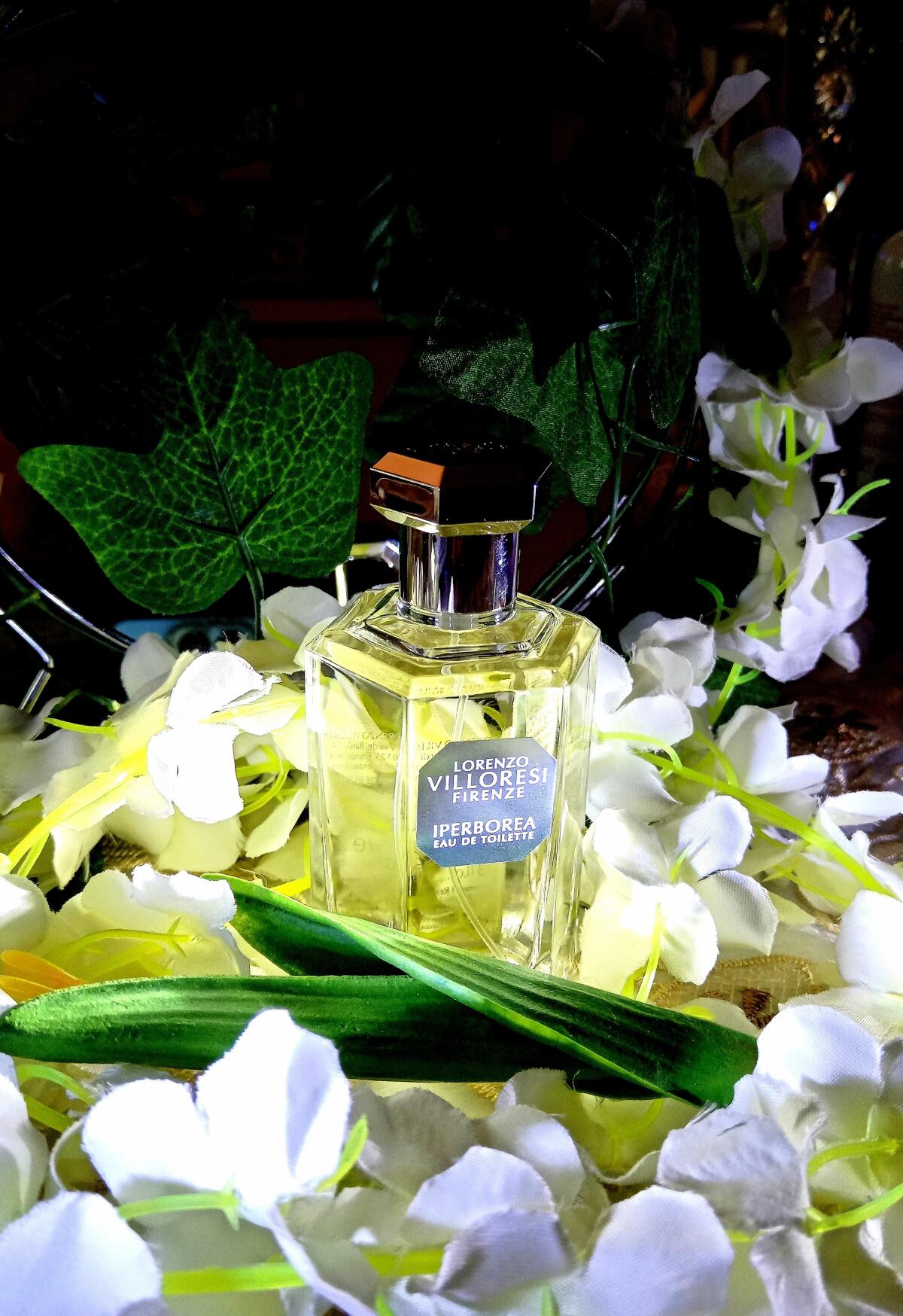 عطر ادکلن ایپربوریا لورنتزو ویلورزی - Iperborea Lorenzo Villoresi - بررسی، قیمت و خرید