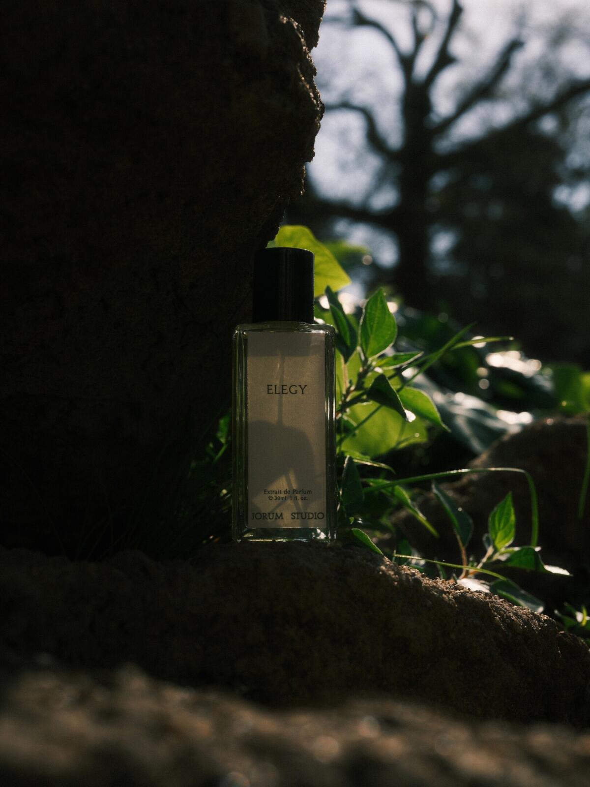 عطر ادکلن الژی جرم استودیو - Elegy Jorum Studio - بررسی، قیمت و خرید