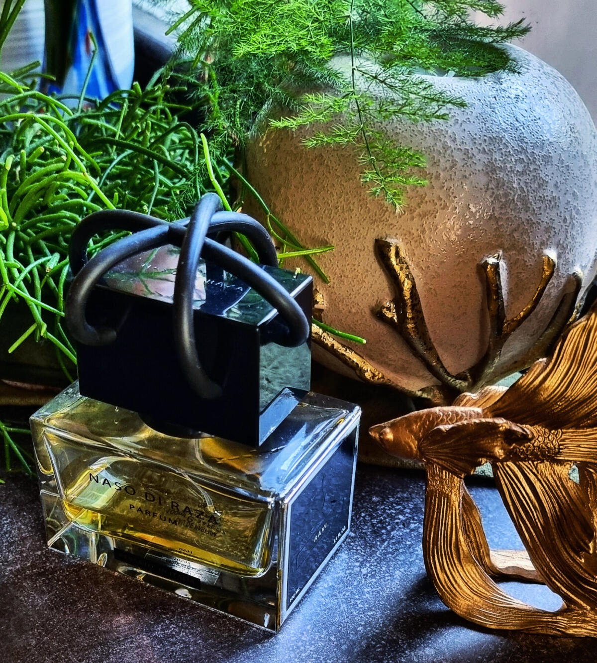 عطر ادکلن راوی نازو دی رازا - Ravi Naso Di Raza - بررسی، قیمت و خرید