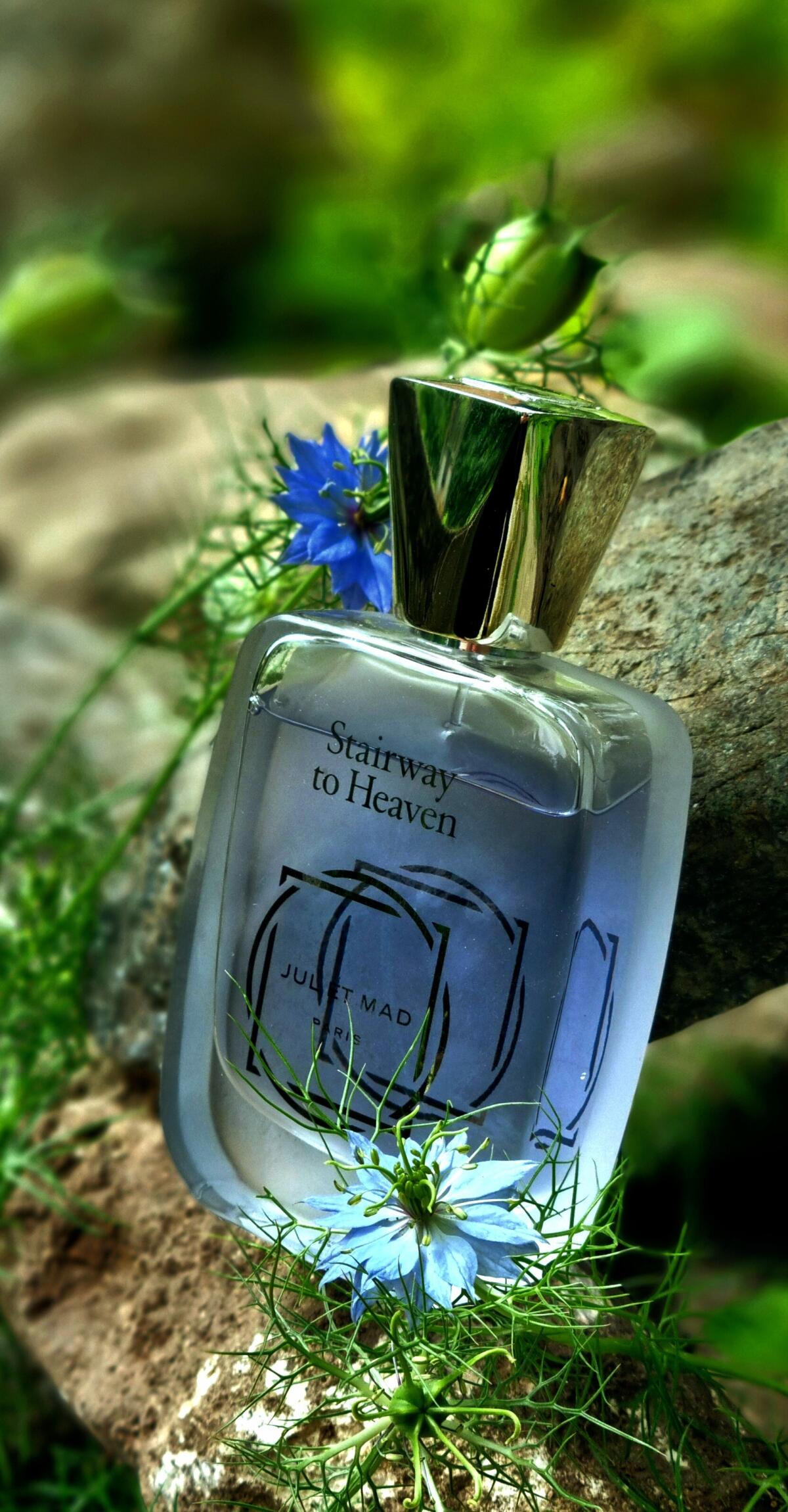 عطر ادکلن استیروِی تو هِوِن ژول ات مد پاریس - Stairway To Heaven Jul et Mad Paris - بررسی، قیمت و خرید