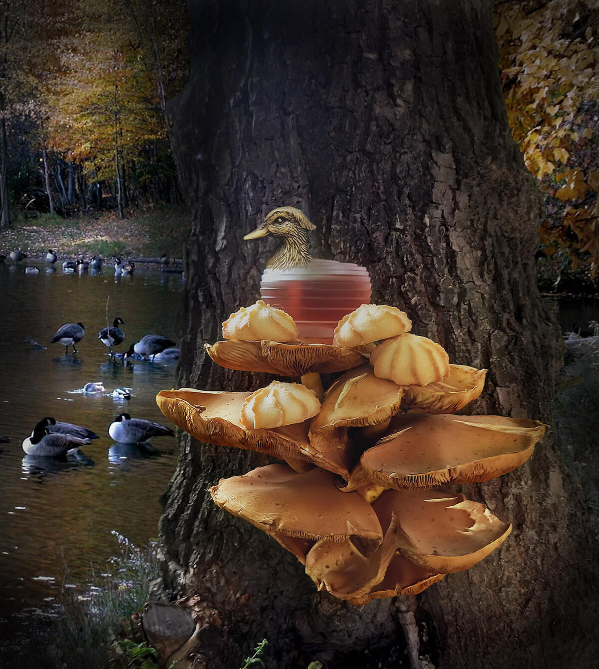 عطر ادکلن فُرمیدبِل کس‌لینگ - Formidable Kesling - بررسی، قیمت و خرید