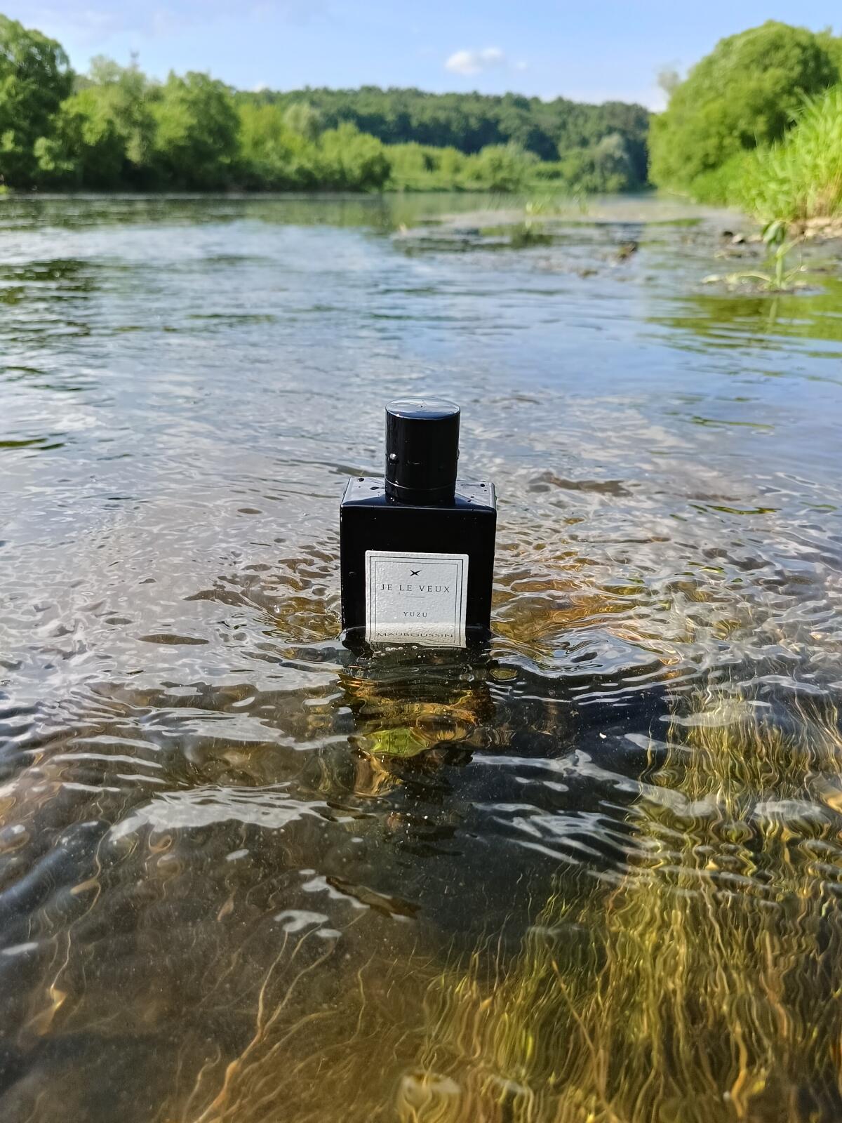 عطر ادکلن اودیوغس ماوبوسین - Eau d'Ivresse Mauboussin - بررسی، قیمت و خرید