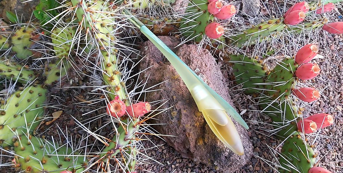 عطر ادکلن اورنج صحرا پوپا - Orange Sahara Pupa - بررسی، قیمت و خرید