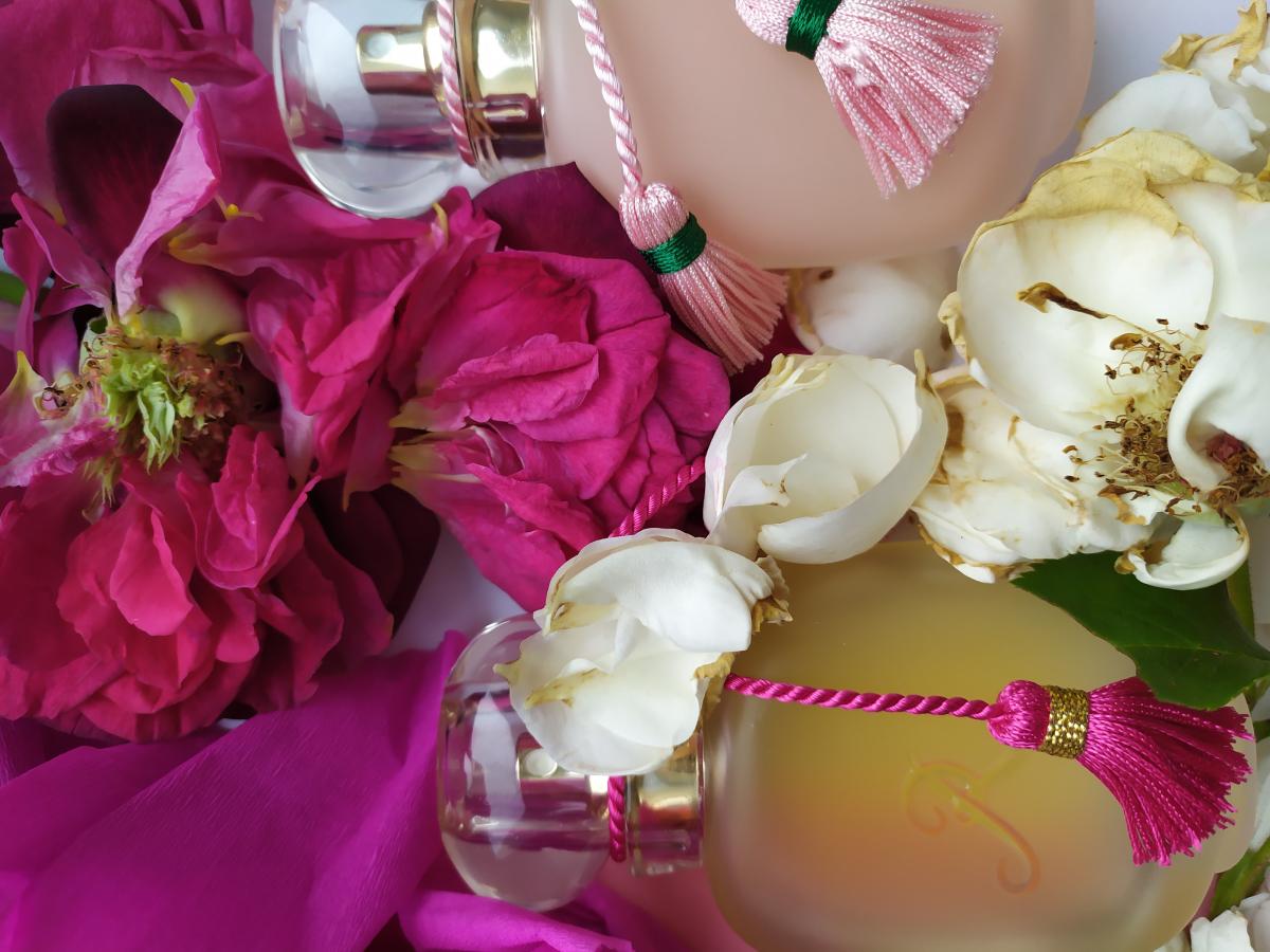 عطر ادکلن رز نو له پارفوم دو رزین - Rose Nue Les Parfums de Rosine - بررسی، قیمت و خرید