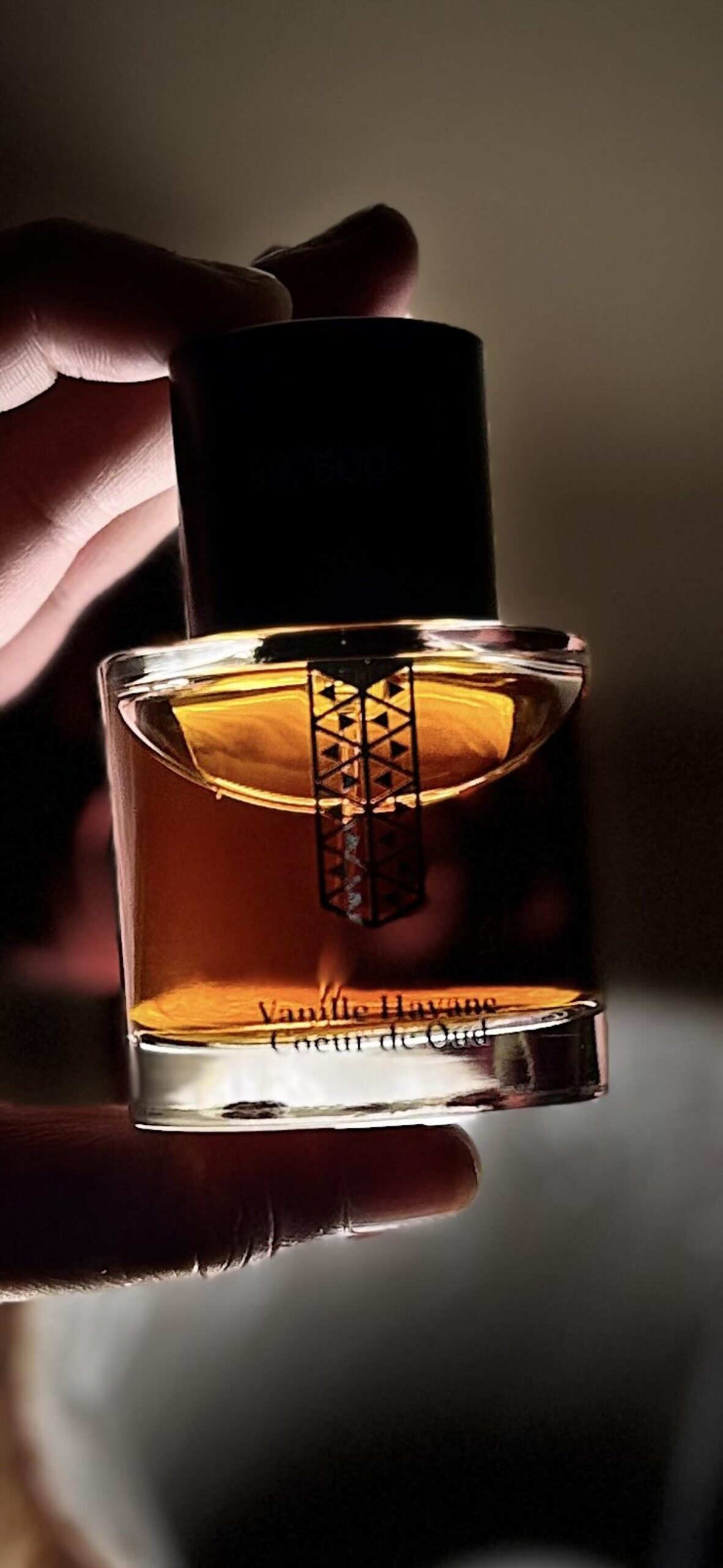 عطر ادکلن وانیل هاوانه کور دو عود لز اندمودابلز - Vanille Havane Coeur de Oud Les Indemodables - بررسی، قیمت و خرید