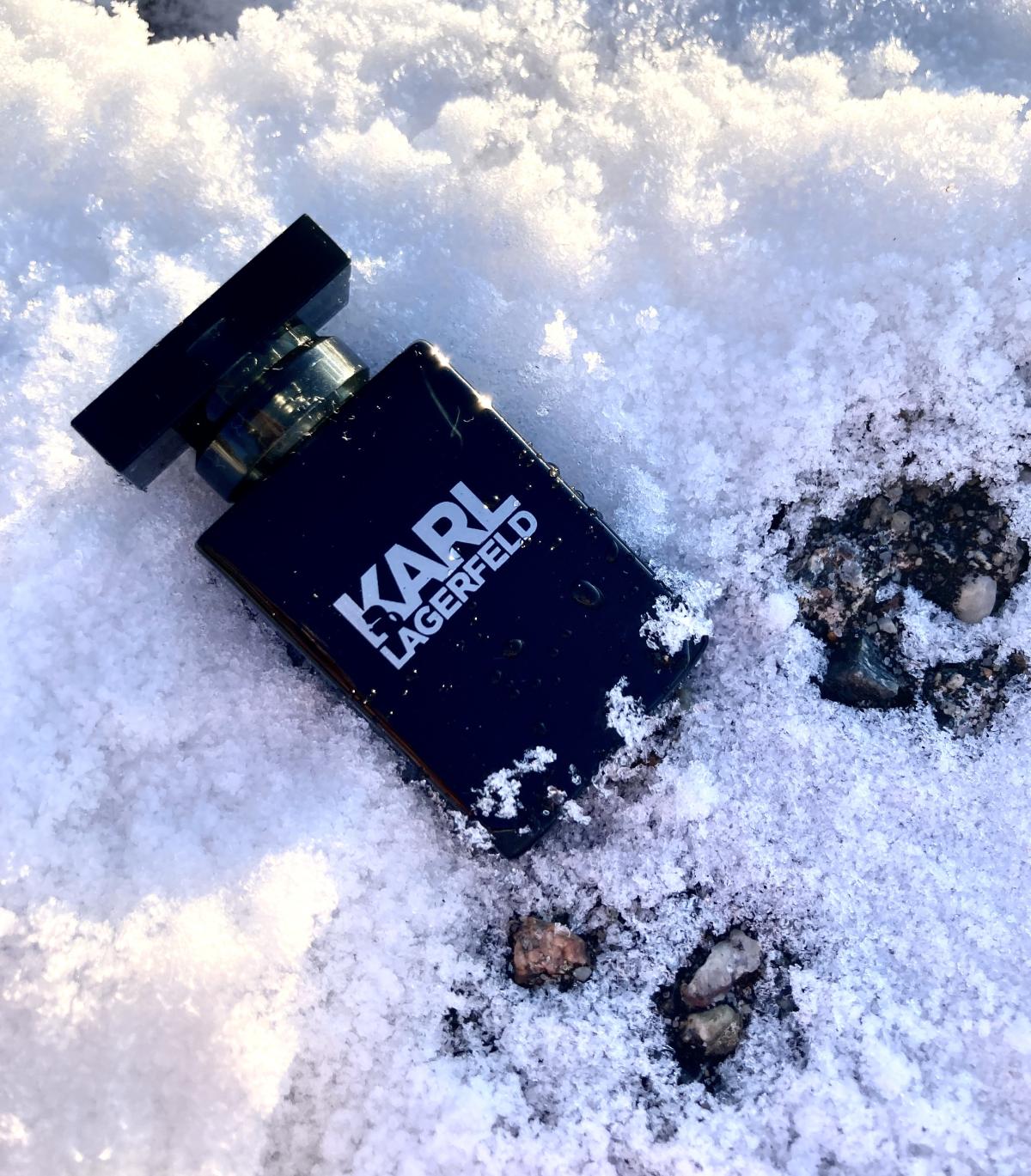 عطر ادکلن کارل لاگرفلد فور هیم کارل لاگرفلد - Karl Lagerfeld for Him Karl Lagerfeld - بررسی، قیمت و خرید