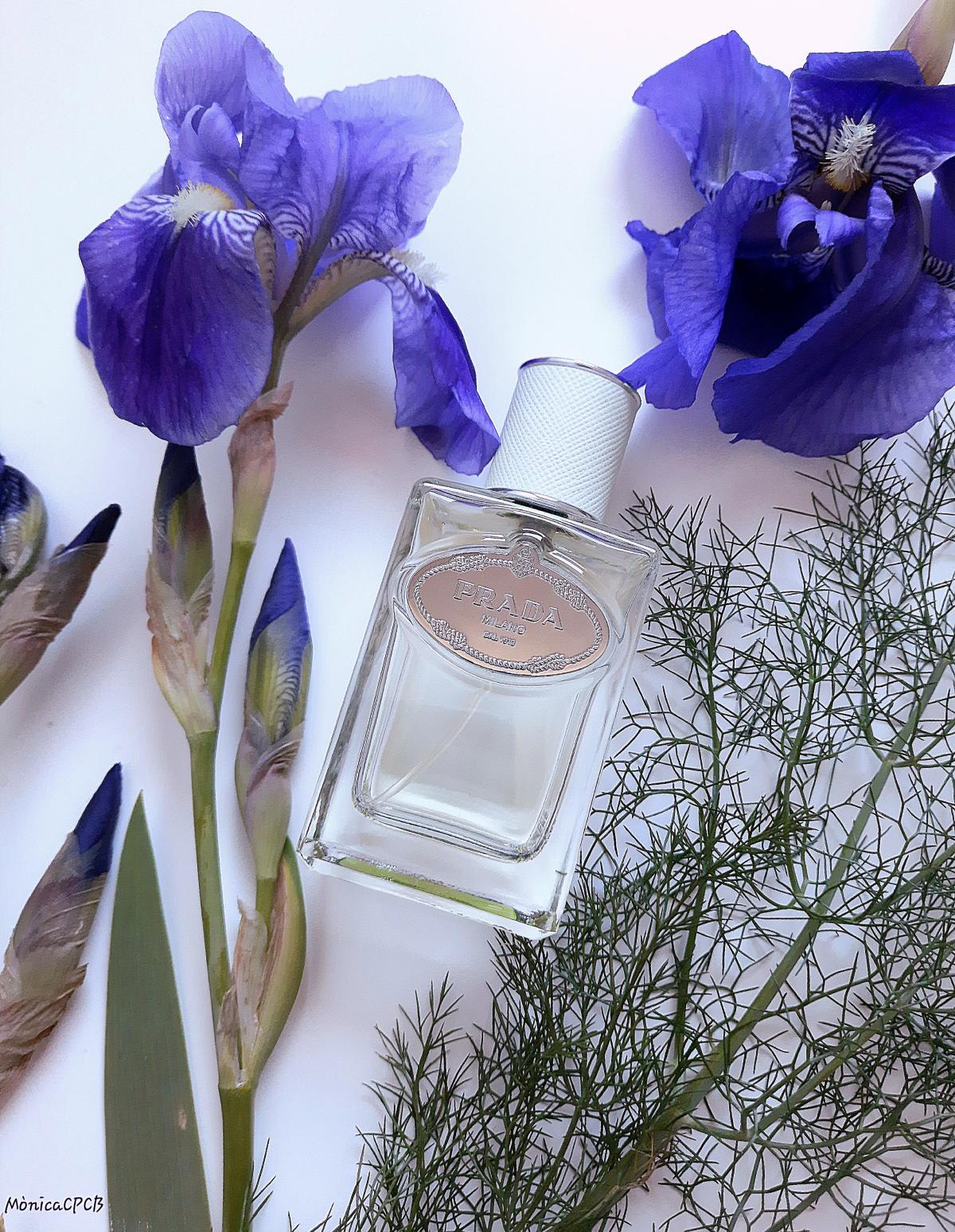 عطر ادکلن اینفیوژن دی آیریس پرادا - Infusion d'Iris Prada - بررسی، قیمت و خرید