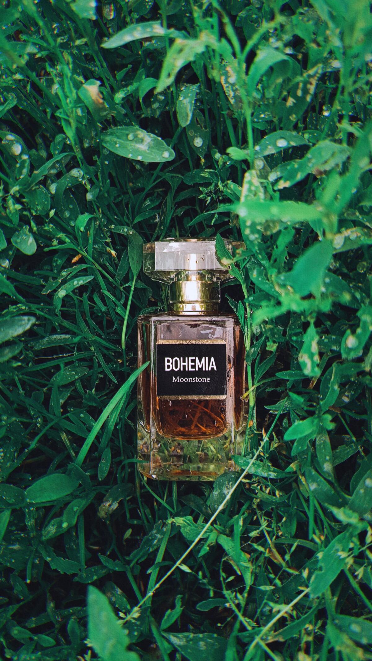 عطر ادکلن بوهیمیا مون‌استون پرفیومز کنستانتین - Bohemia Moonstone Parfums Constantine - بررسی، قیمت و خرید