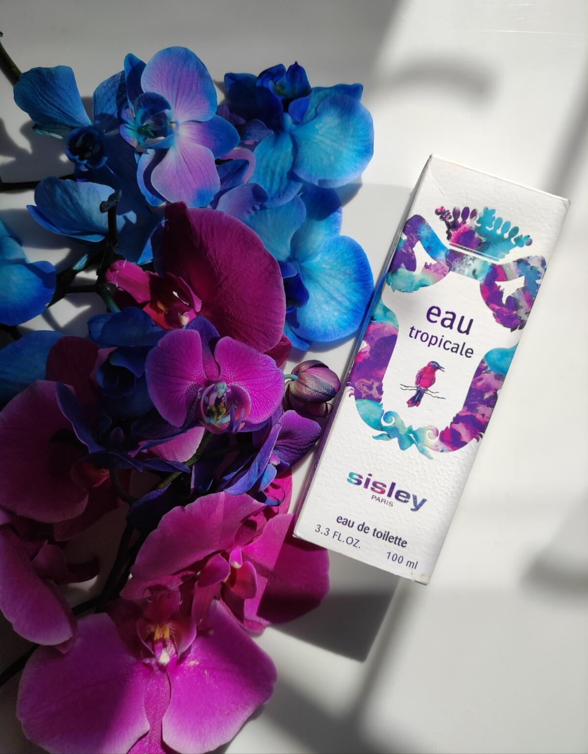 عطر ادکلن او تروپیکال سیسلی - Eau Tropicale Sisley - بررسی، قیمت و خرید