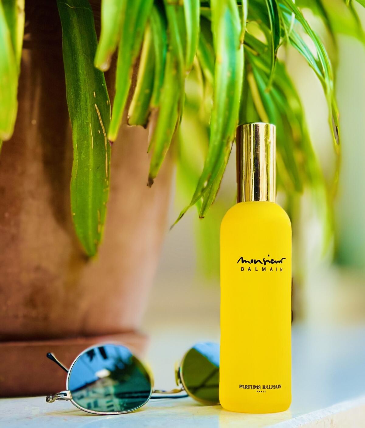 عطر ادکلن موسیو بالمن پیر بالمن - Monsieur Balmain Pierre Balmain - بررسی، قیمت و خرید