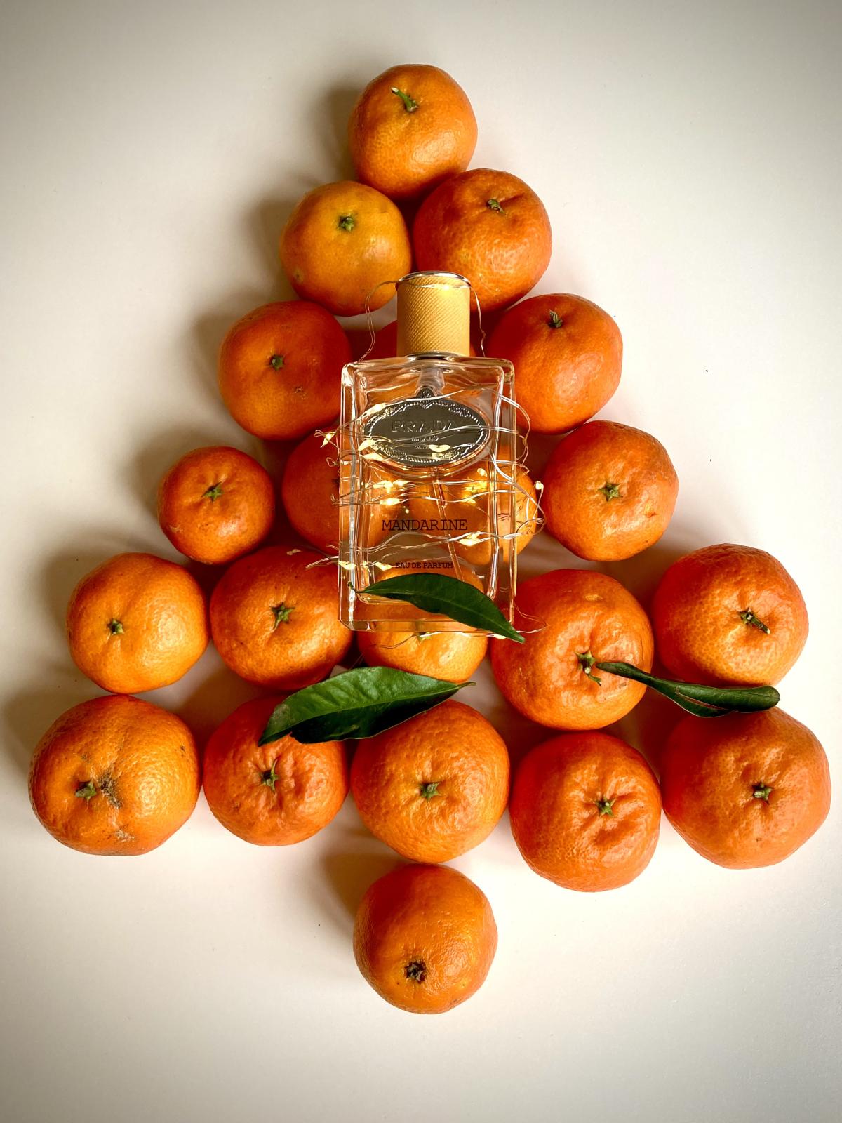 عطر ادکلن اینفیوژن ماندارین پِرادا - Infusion Mandarine Prada - بررسی، قیمت و خرید