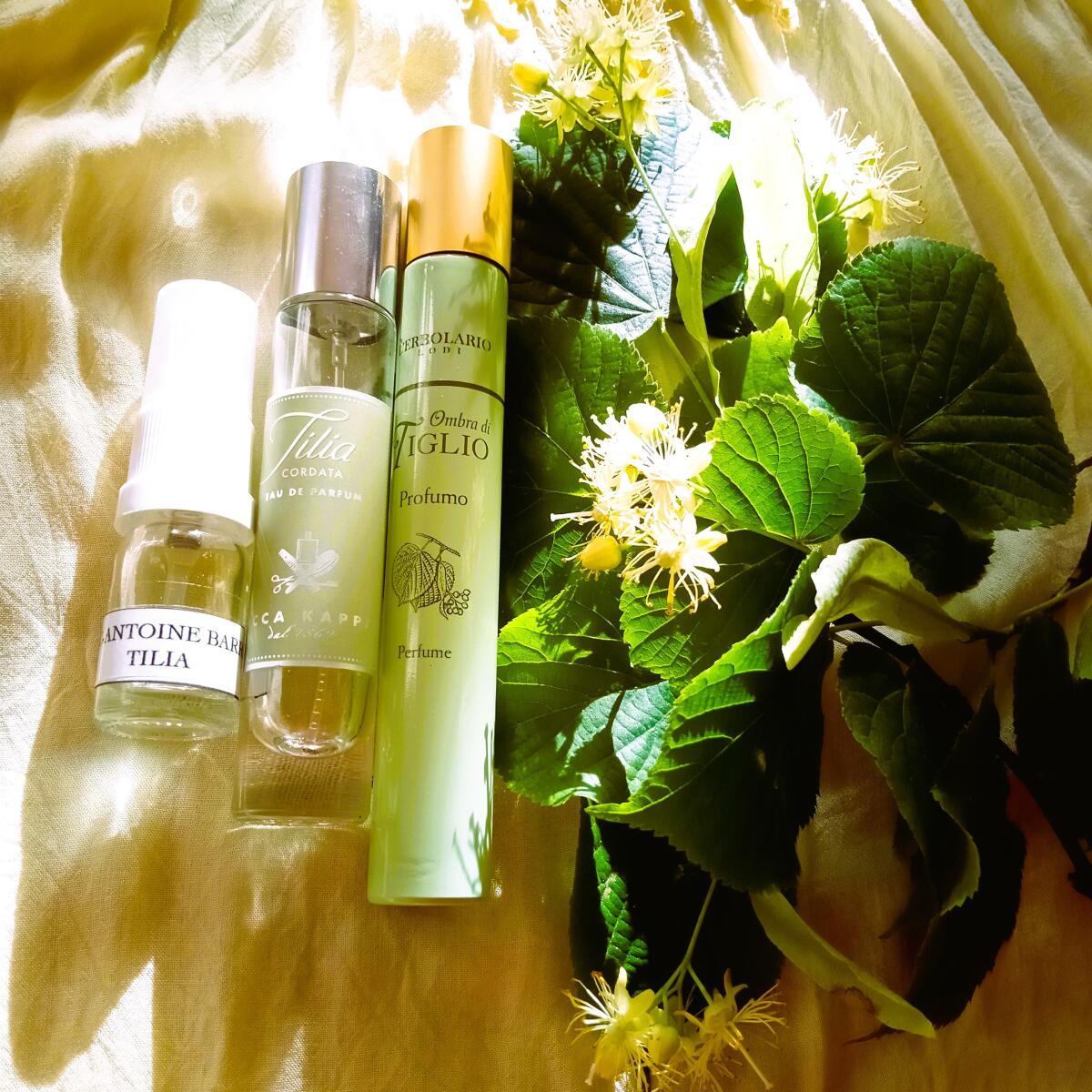 عطر ادکلن اومبرا دی تیلیو لربولاریو - Ombra di Tiglio (2024) L'Erbolario - بررسی، قیمت و خرید