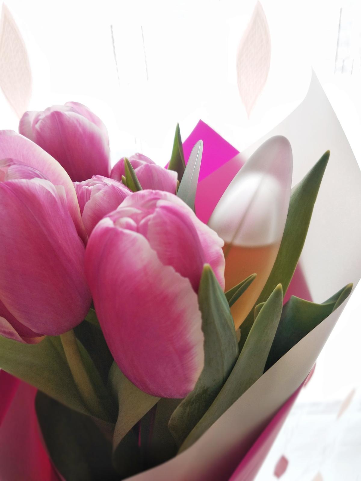 عطر ادکلن اورنج صحرا پوپا - Orange Sahara Pupa - بررسی، قیمت و خرید