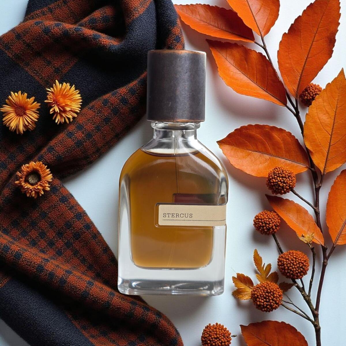 عطر ادکلن استرکوس اورتو پاریسی - Stercus Orto Parisi - بررسی، قیمت و خرید