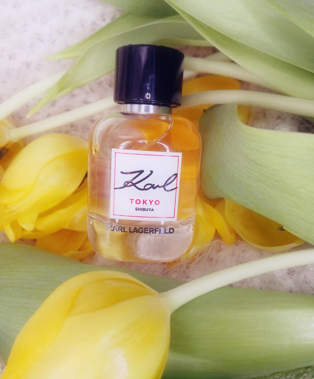 عطر ادکلن کارل توکیو شیبویا کارل لاگرفلد - Karl Tokyo Shibuya Karl Lagerfeld - بررسی، قیمت و خرید