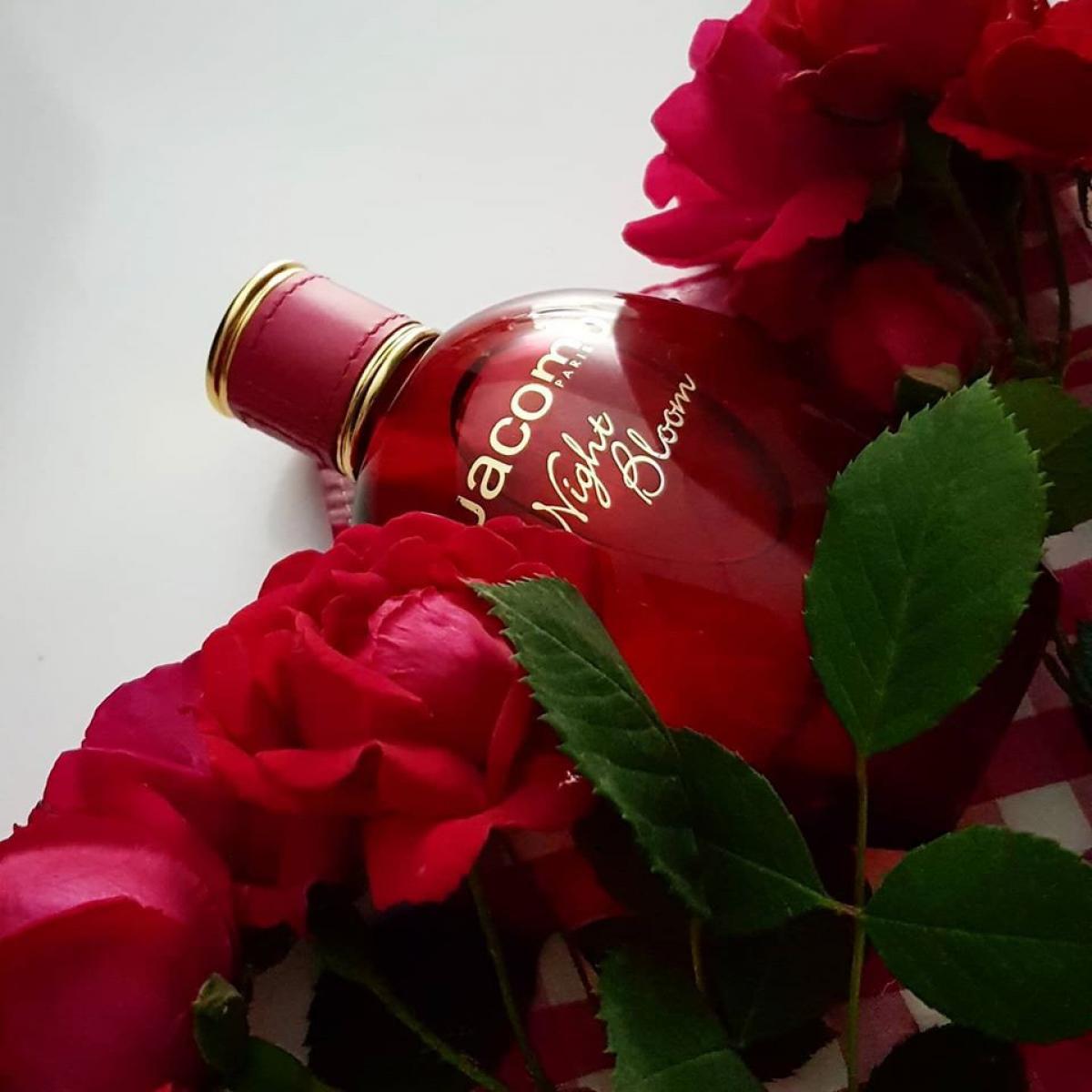 عطر ادکلن nait bloom ژاکومو - Night Bloom Jacomo - بررسی، قیمت و خرید