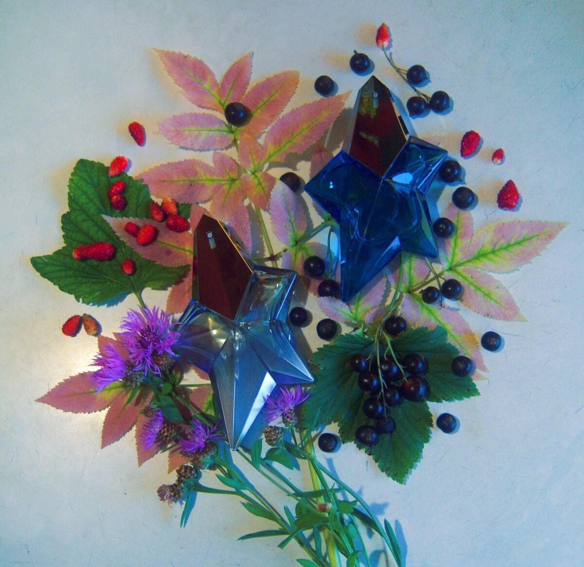 عطر ادکلن انجل فروتی فر موگلر - Angel Fruity Fair Mugler - بررسی، قیمت و خرید