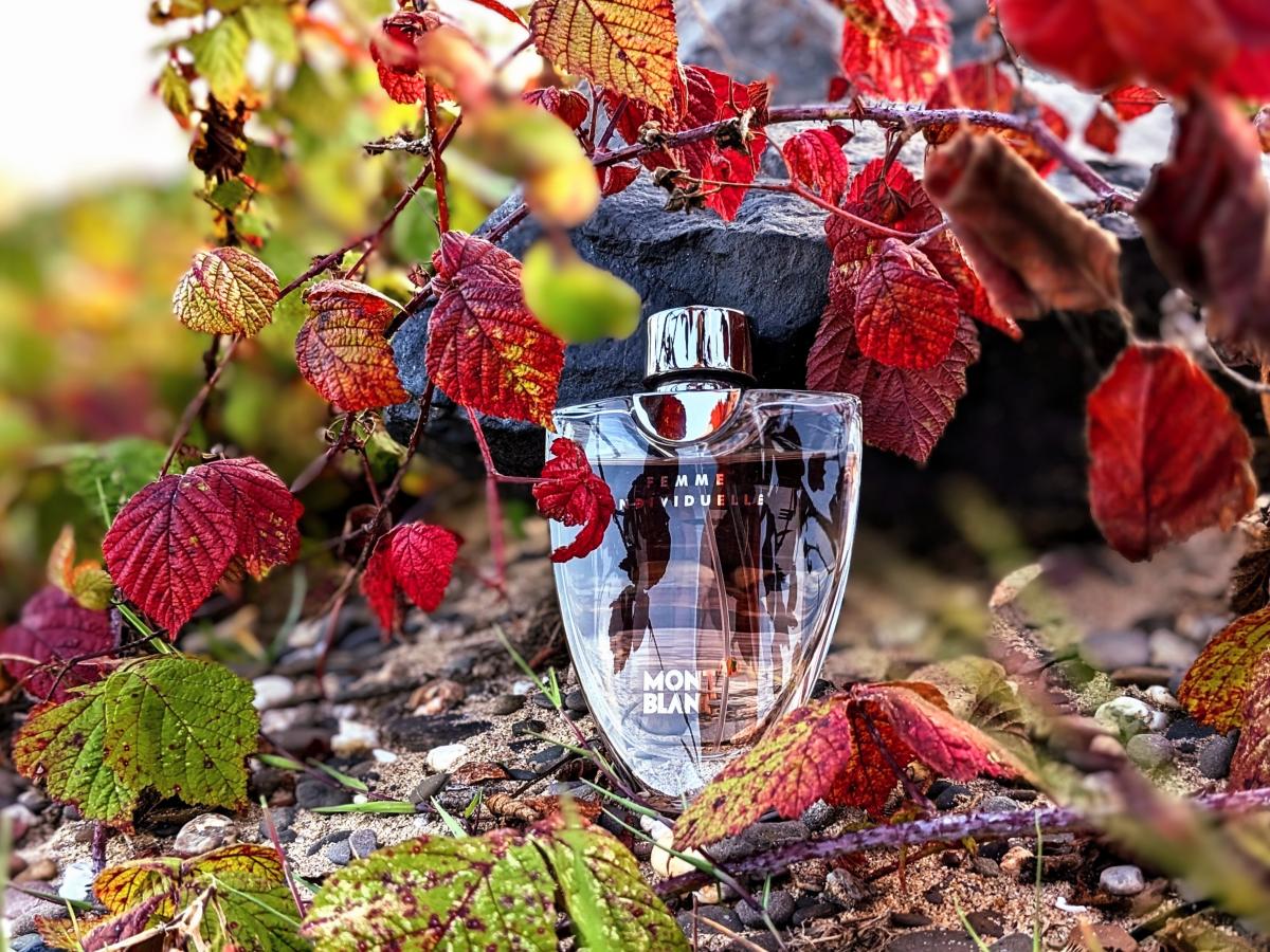 عطر ادکلن فم اندیویدوال مون‌بلانک - Femme Individuelle Montblanc - بررسی، قیمت و خرید