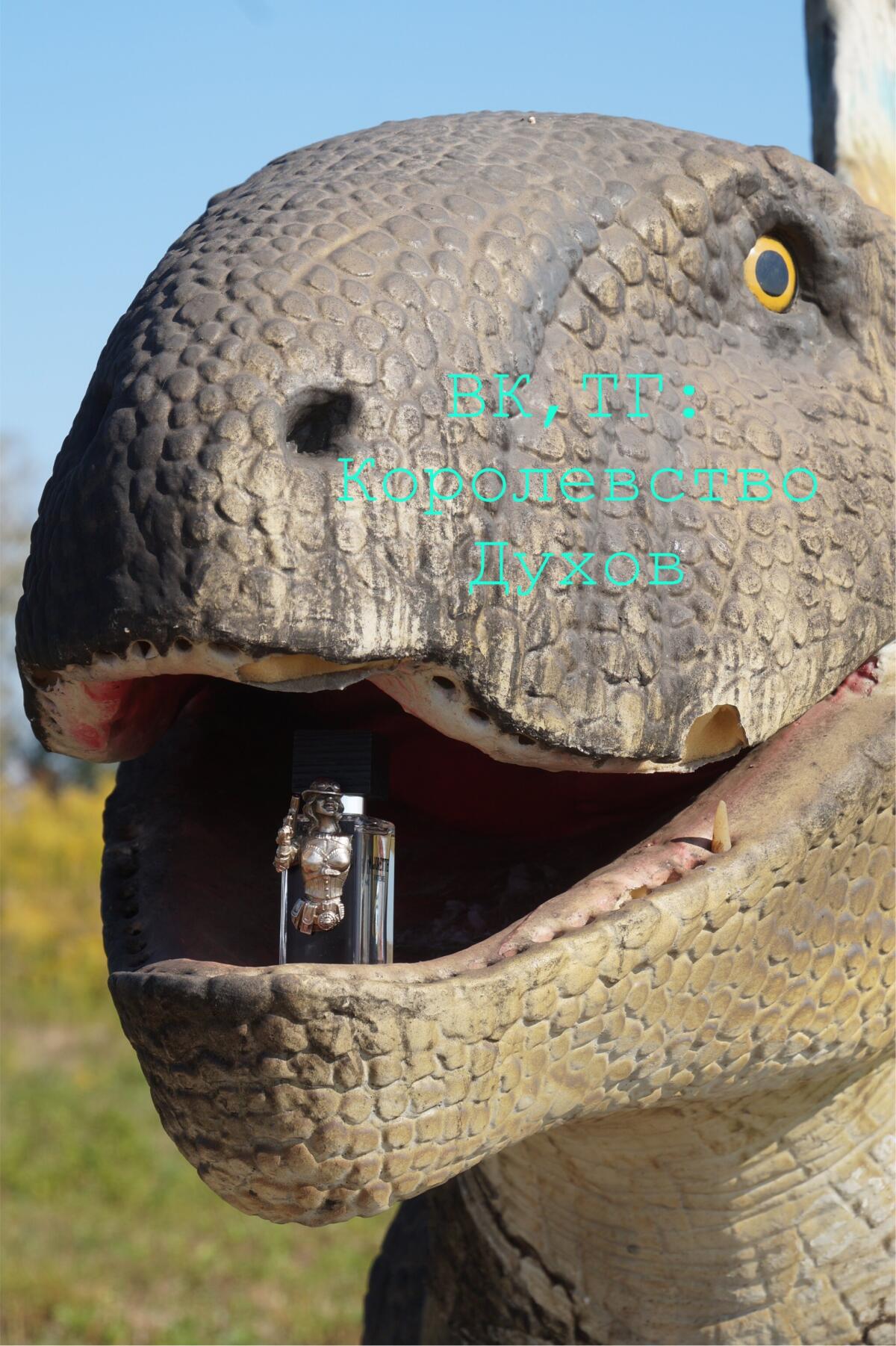 عطر ادکلن ماژورت پریما ماتریا - Majorette Prima Materia - بررسی، قیمت و خرید