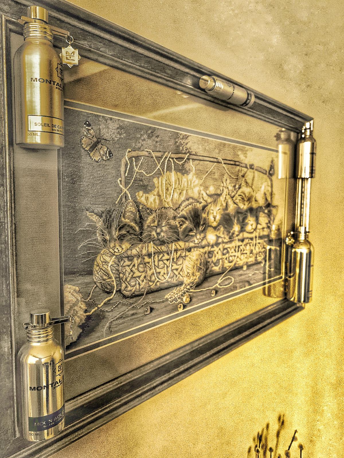 عطر ادکلن اود ولوت مونتال - Aoud Velvet Montale - بررسی، قیمت و خرید