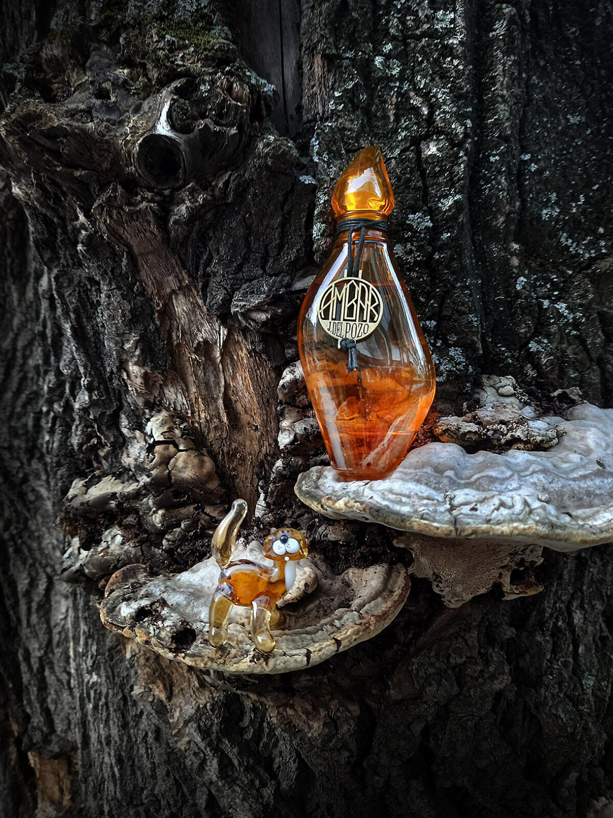 عطر ادکلن امبر جیسیس دل پوزو - Ambar Jesus Del Pozo - بررسی، قیمت و خرید