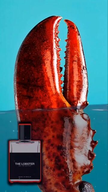 عطر ادکلن د لابستر ماث اند ربت پرفیومز - The Lobster Moth and Rabbit Perfumes - بررسی، قیمت و خرید