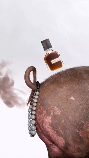 عطر ادکلن استرکوس اورتو پاریسی - Stercus Orto Parisi - بررسی، قیمت و خرید