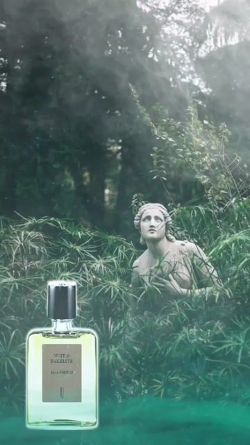 عطر ادکلن نویت د بکلایت نایومی گودسیر - Nuit de Bakélite Naomi Goodsir - بررسی، قیمت و خرید