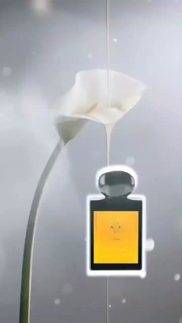 عطر ادکلن ون اکس تا سی اکس لورنتزو پاختزالیا - Van Exstasyx Lorenzo Pazzaglia - بررسی، قیمت و خرید
