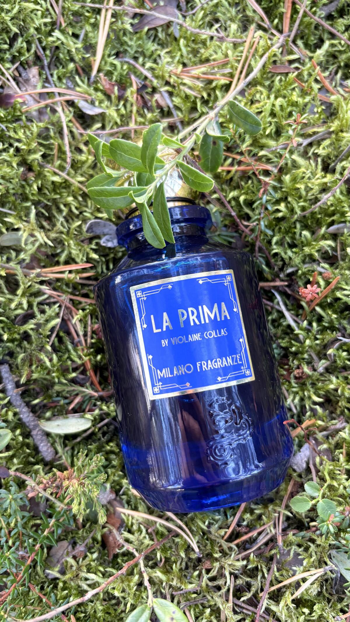 عطر ادکلن لا پریما میلانُ فرگرانزه - La Prima Milano Fragranze - بررسی، قیمت و خرید