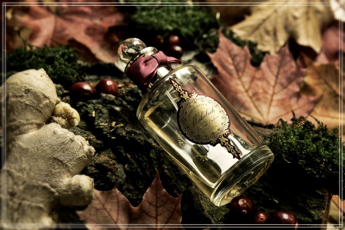 عطر ادکلن مالابا پنهالیگونز - Malabah Penhaligon's - بررسی، قیمت و خرید