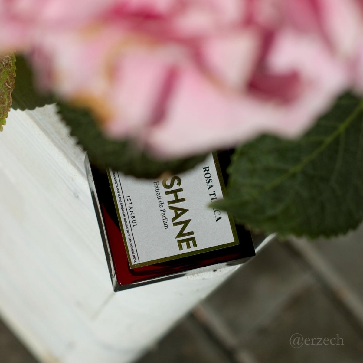 عطر ادکلن رزا تورکا نیشانه - Rosa Turca Nishane - بررسی، قیمت و خرید