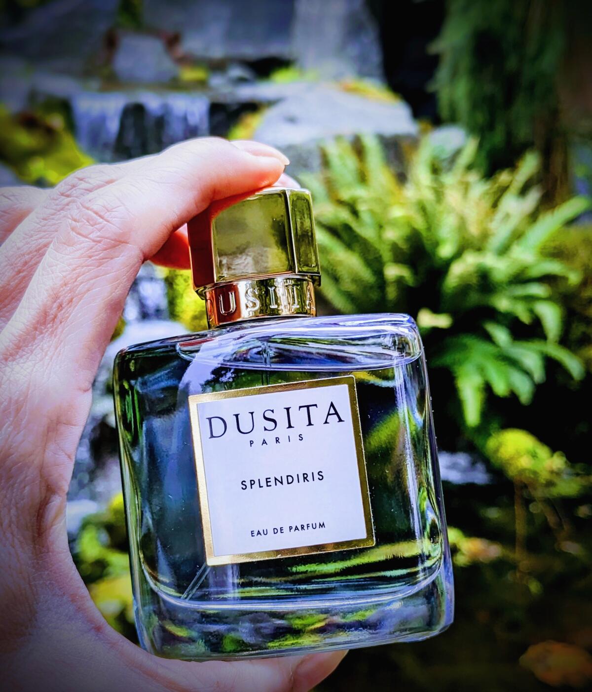 عطر ادکلن اسپلندیریس پرفیومز دوسیتا - Splendiris Parfums Dusita - بررسی، قیمت و خرید