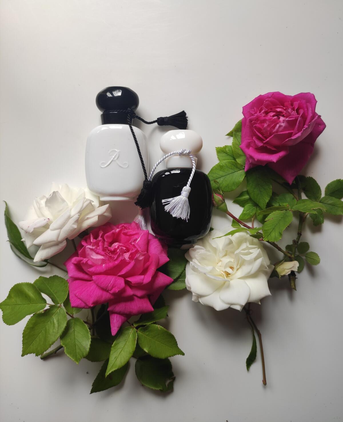 عطر ادکلن لس پارفومز دی روسین رز ابسولومنت - Rose Absolument Les Parfums de Rosine - بررسی، قیمت و خرید