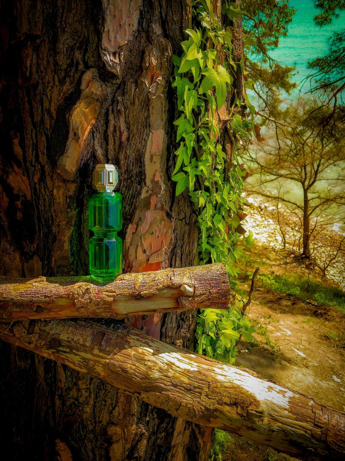 عطر ادکلن اس آر ایت استفانو ریچی - SR Eight Stefano Ricci - بررسی، قیمت و خرید