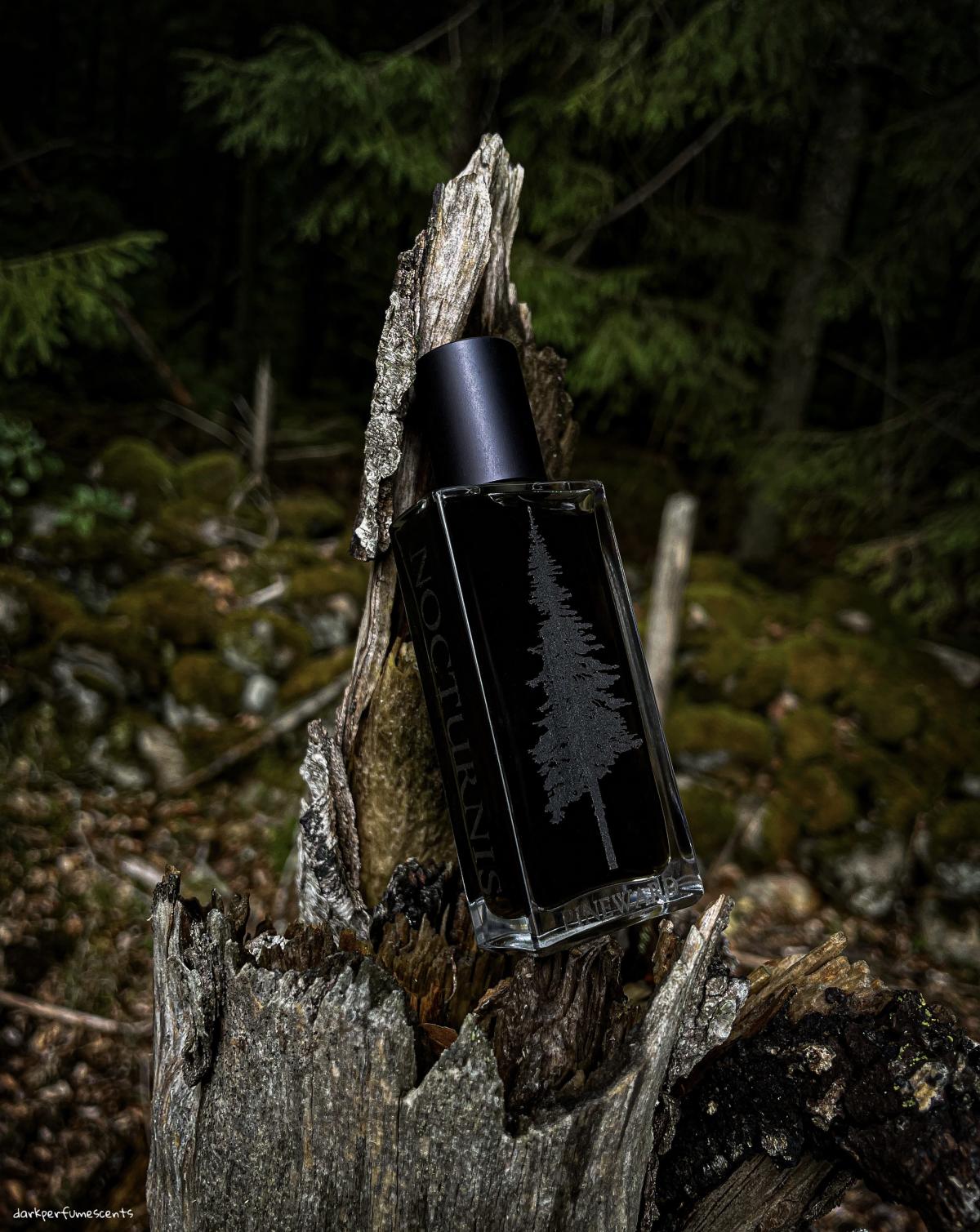 عطر ادکلن ناکترنیس پاین‌وارد پرفیومز - Nocturnis Pineward Perfumes - بررسی، قیمت و خرید