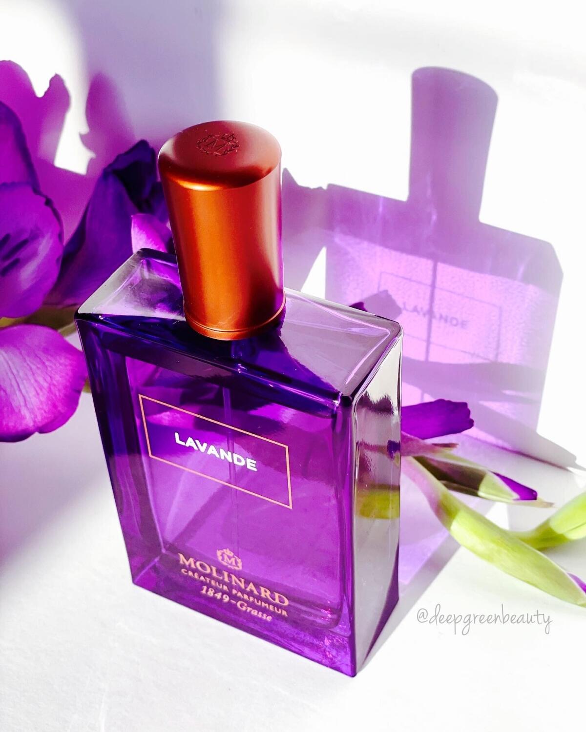 عطر ادکلن لاوانده او دو پرفیوم مولینارد - Lavande Eau de Parfum Molinard - بررسی، قیمت و خرید