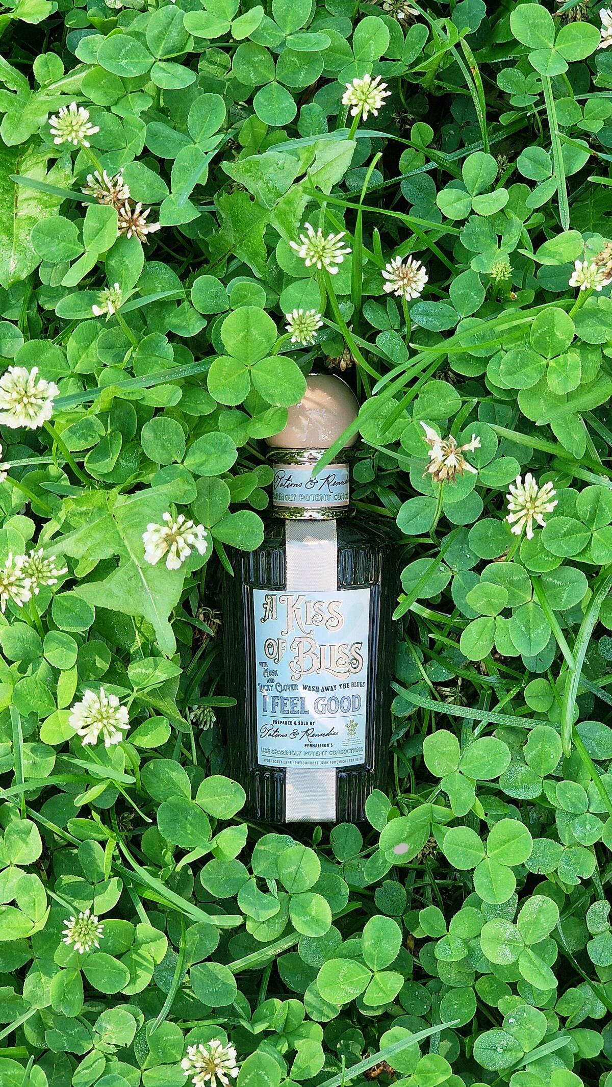 عطر ادکلن ا کیـس آو بلیـس پن‌هالیگانز - A Kiss Of Bliss Penhaligon's - بررسی، قیمت و خرید