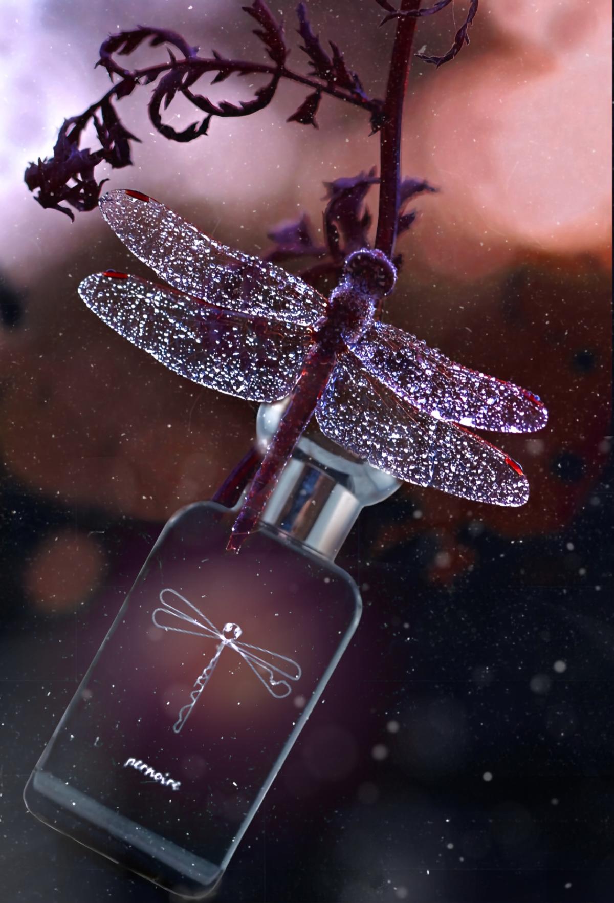 عطر ادکلن ماسار پرنوآر - Masar Pernoire - بررسی، قیمت و خرید