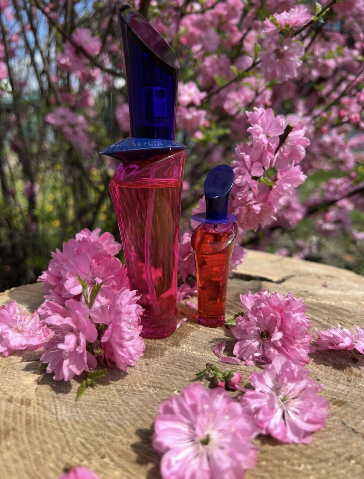 عطر ادکلن رز بای کاردن پیر کاردین - Rose by Cardin Pierre Cardin - بررسی، قیمت و خرید