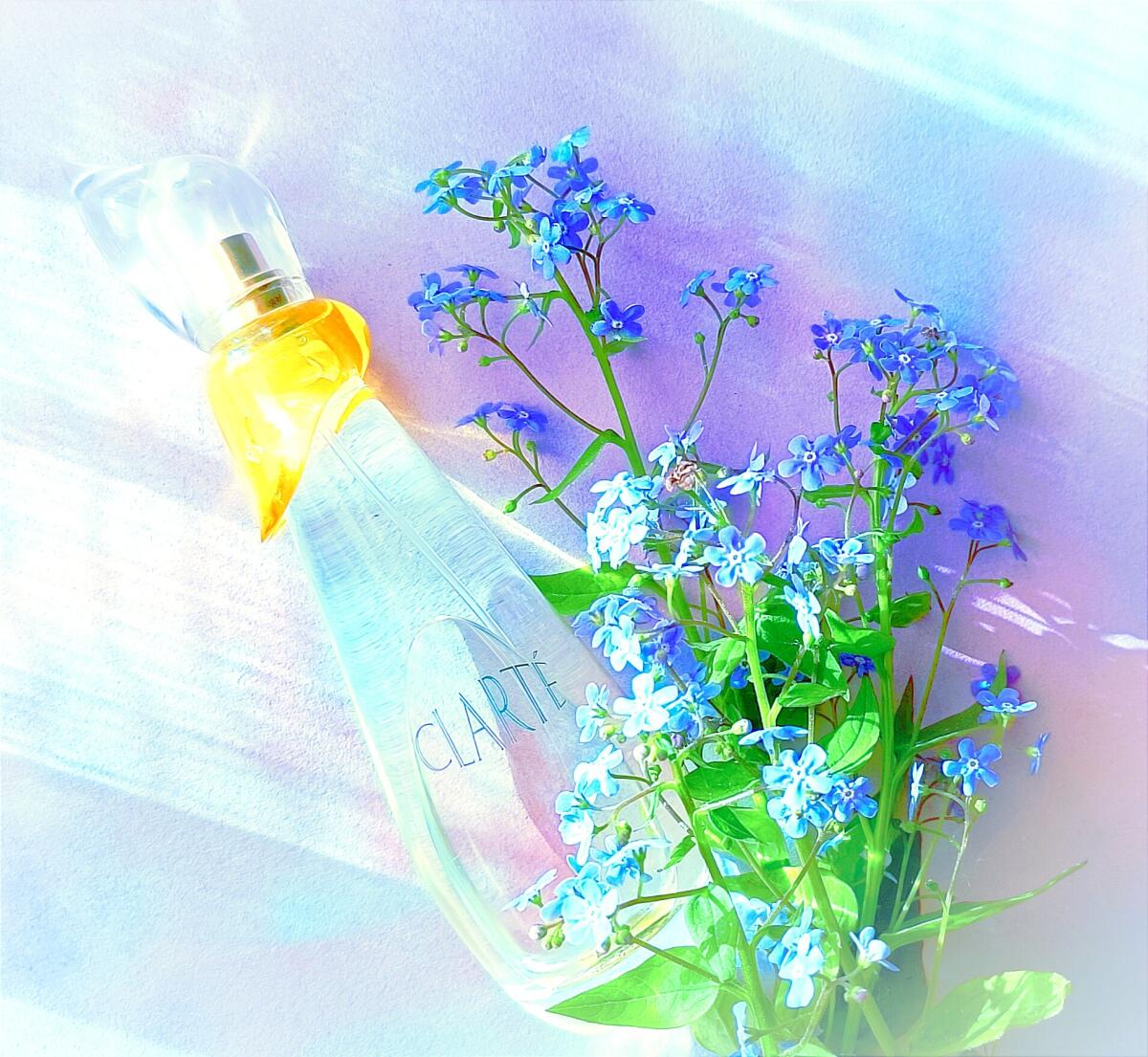 عطر ادکلن کلارته ال تی پیور - Clarté L.T. Piver - بررسی، قیمت و خرید